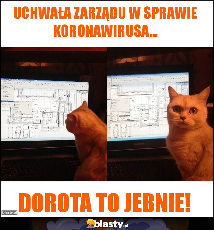 Uchwała Zarządu w sprawie koronawirusa...