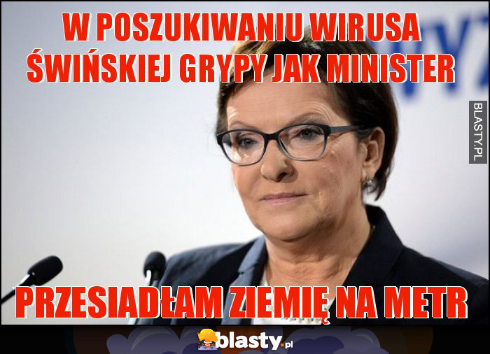 W poszukiwaniu wirusa świńskiej grypy jak minister