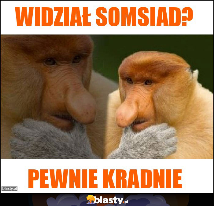 Widział Somsiad?