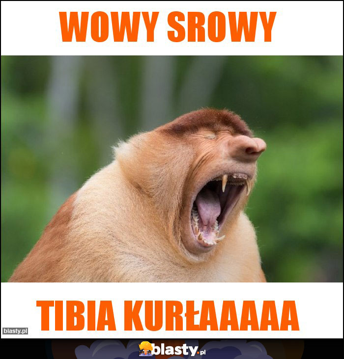 Wowy srowy