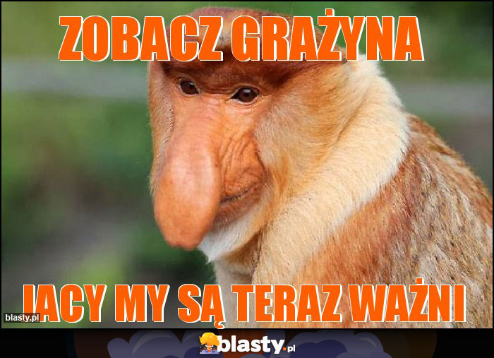 Zobacz Grażyna