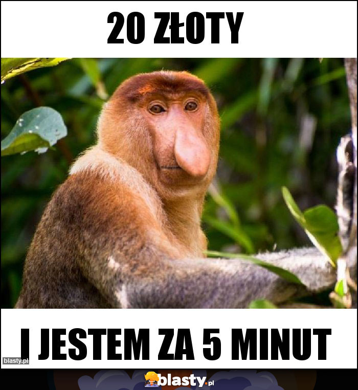 20 złoty