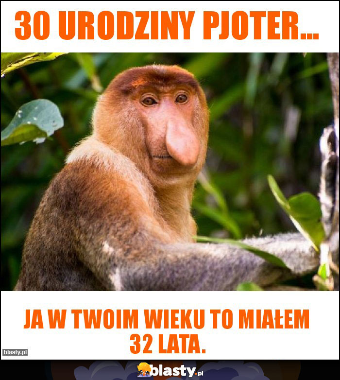 30 URODZINY PJOTER...