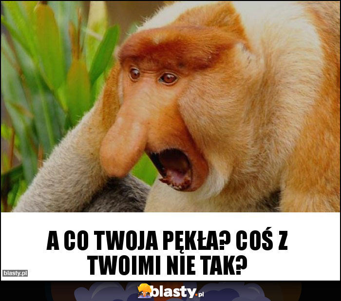 a co twoja pękła? Coś z twoimi nie tak?