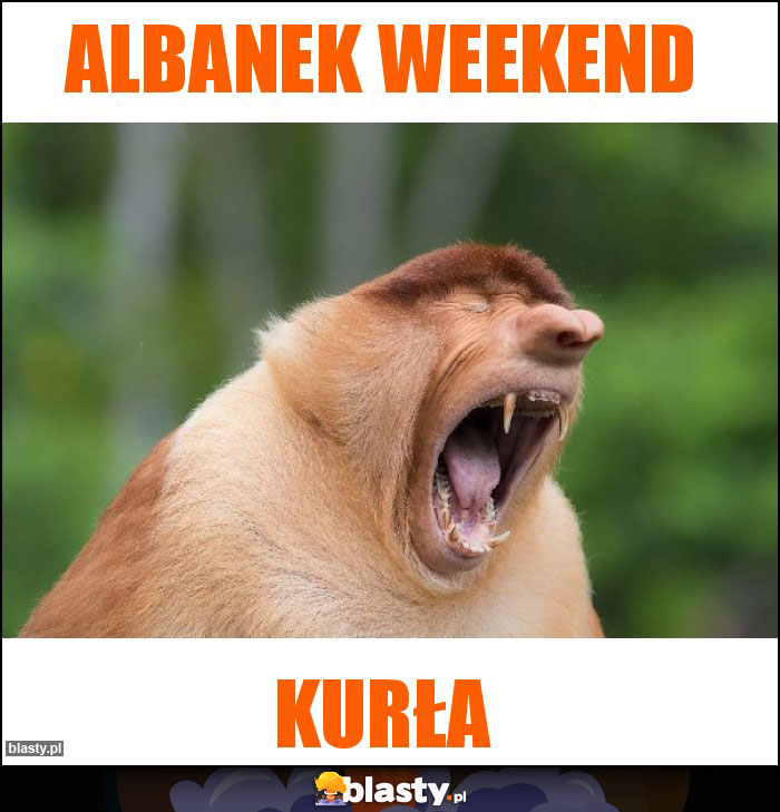 ALBANEK WEEKEND