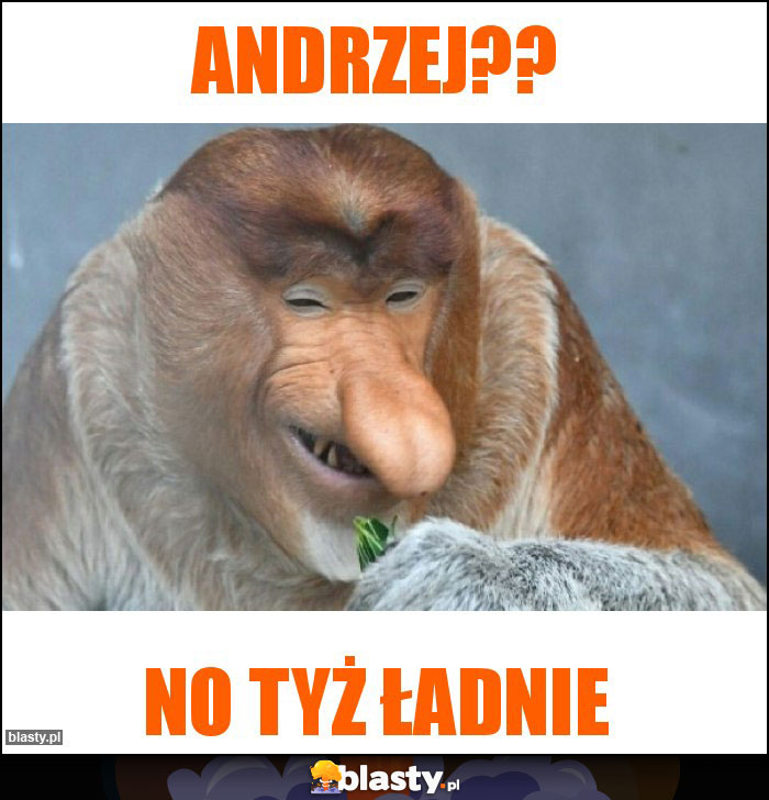 ANDRZEJ??