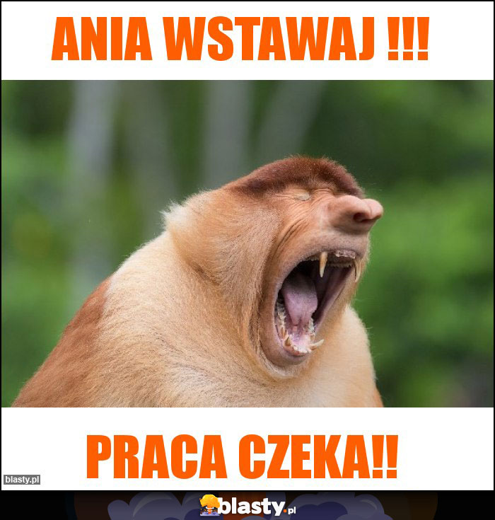 Ania Wstawaj !!!