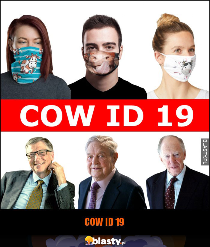 COW ID 19