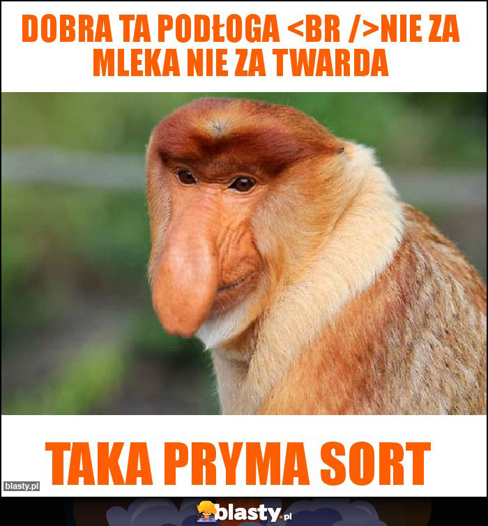 Dobra ta podłoga 
Nie za mleka nie za twarda