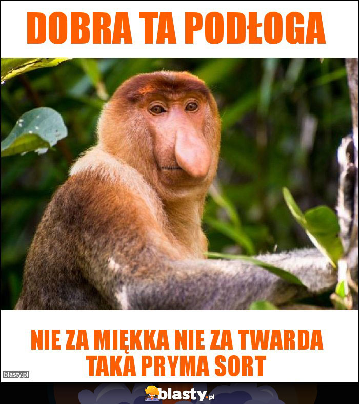 Dobra ta podłoga