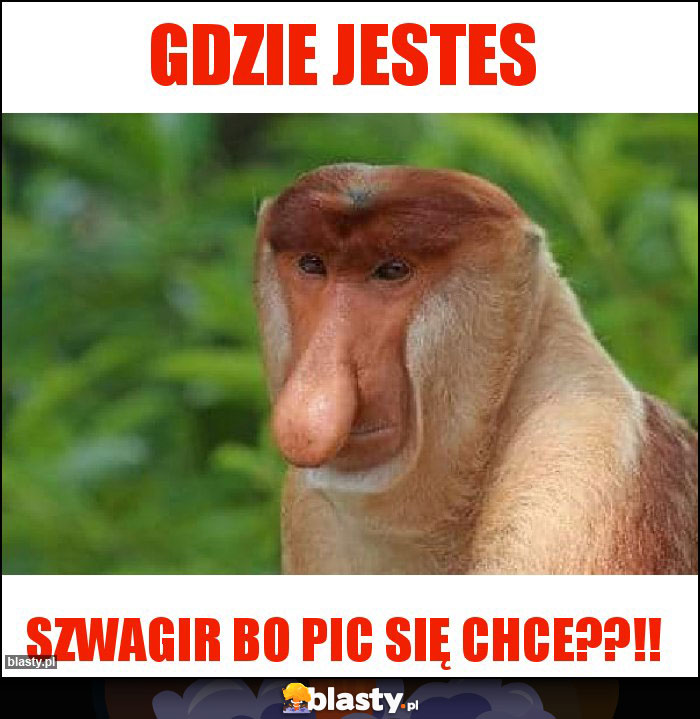 Gdzie jestes