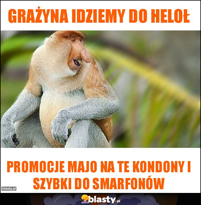 Grażyna idziemy do Heloł