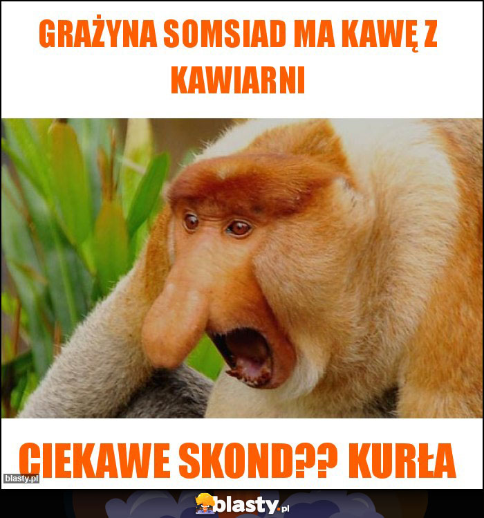 Grażyna somsiad ma kawę z kawiarni