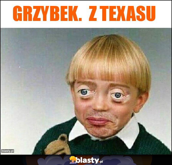 Grzybek.  Z texasu