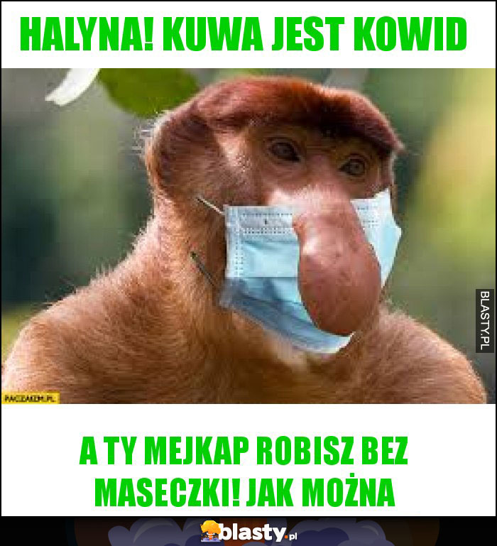 halyna! kuwa jest kowid