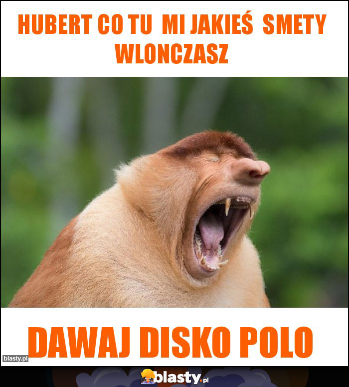 Hubert co tu  mi jakieś  smety wlonczasz