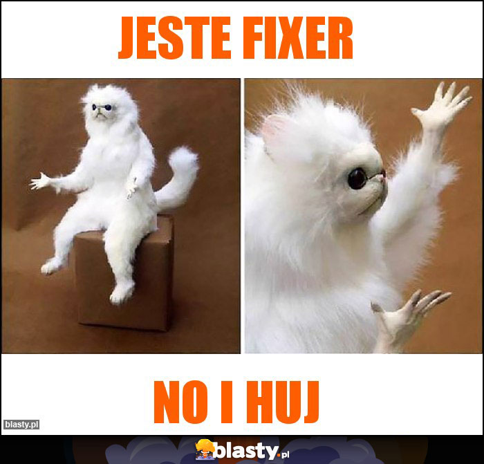 Jeste fixer