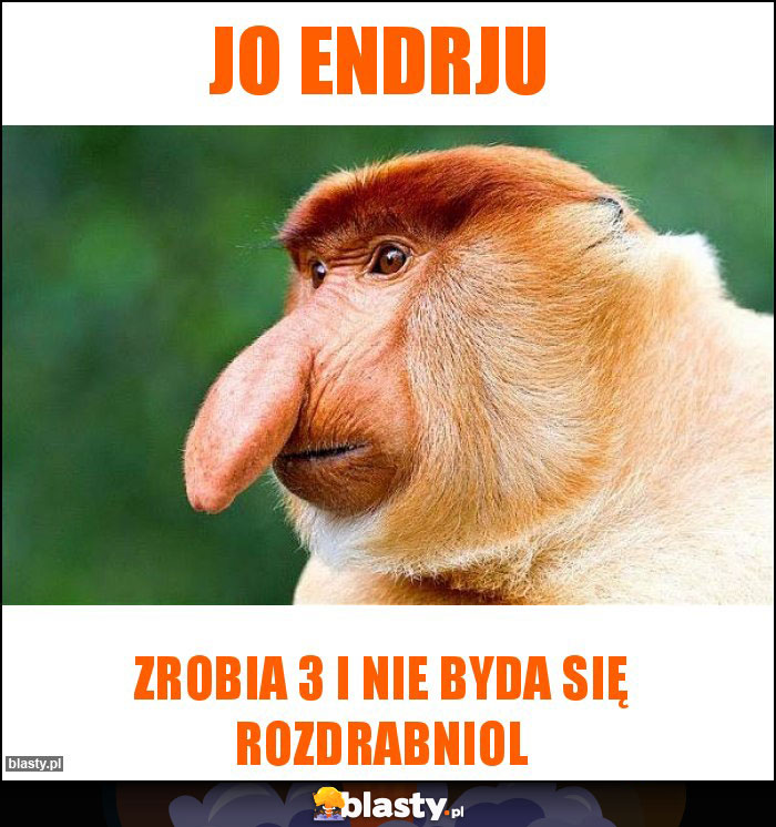 Jo Endrju