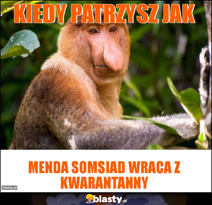 Kiedy patrzysz jak