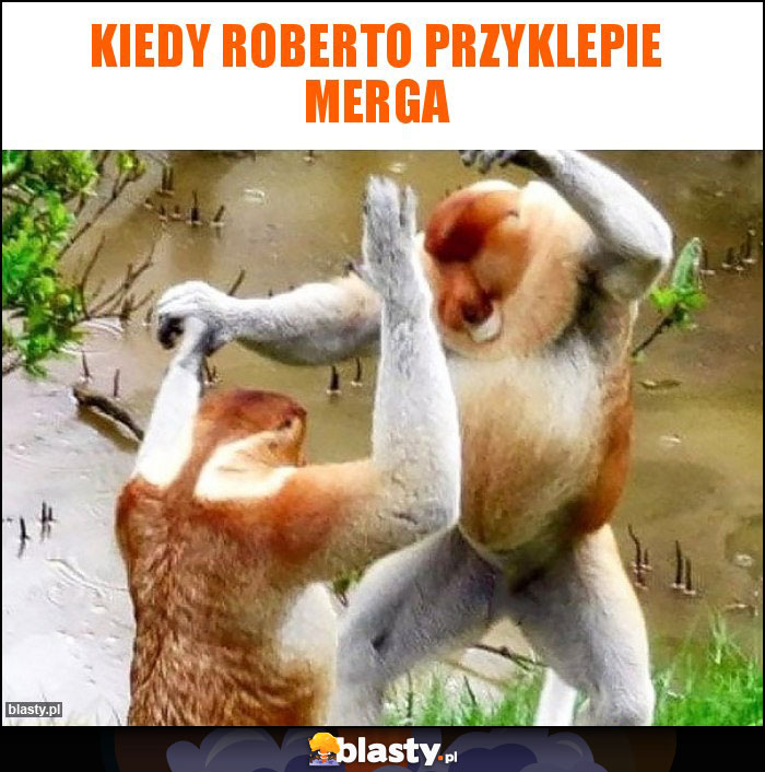 Kiedy Roberto przyklepie merga