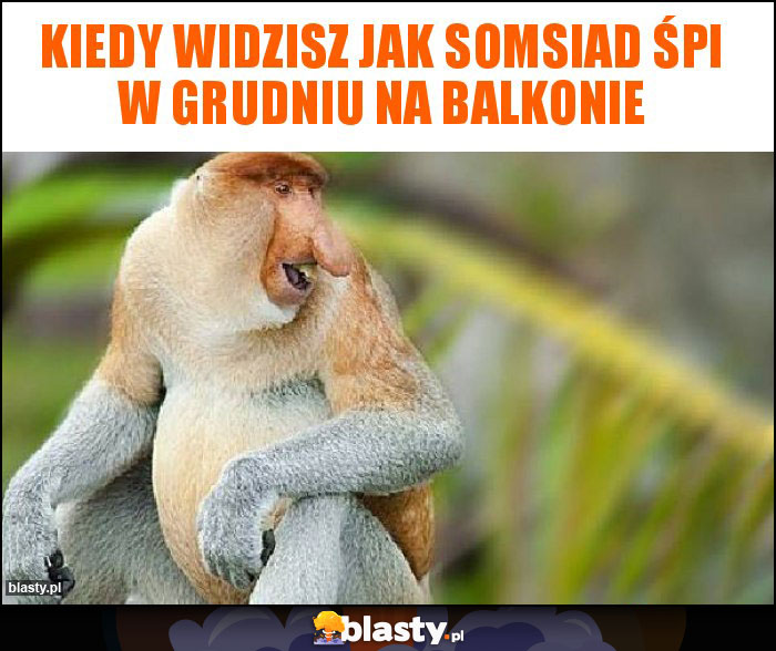 Kiedy widzisz jak somsiad śpi w grudniu na balkonie