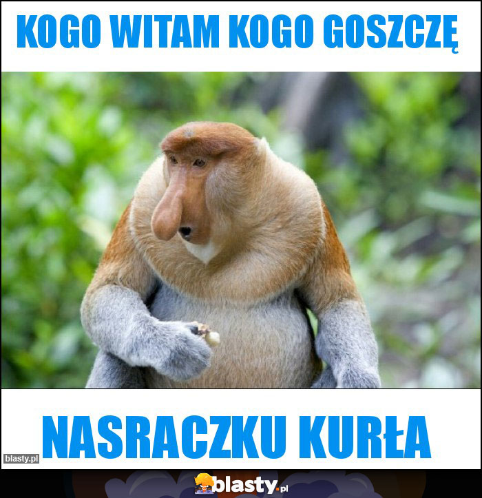 Kogo witam kogo goszczę