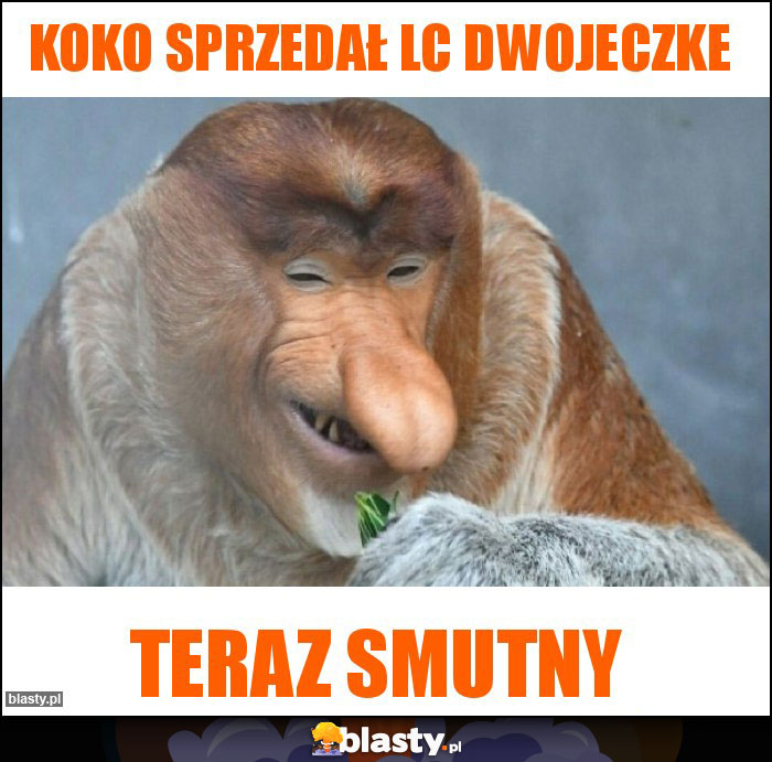 Koko sprzedał lc dwojeczke