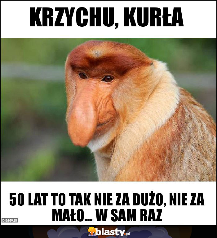 KRZYCHU, KURŁA