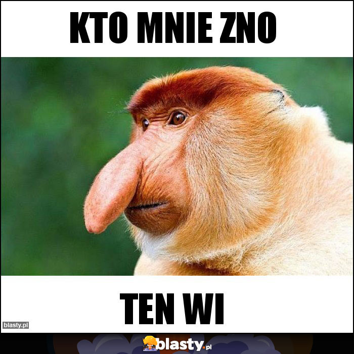 Kto mnie zno