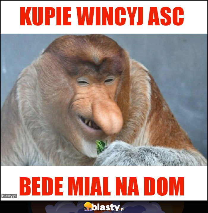 Kupie wincyj asc