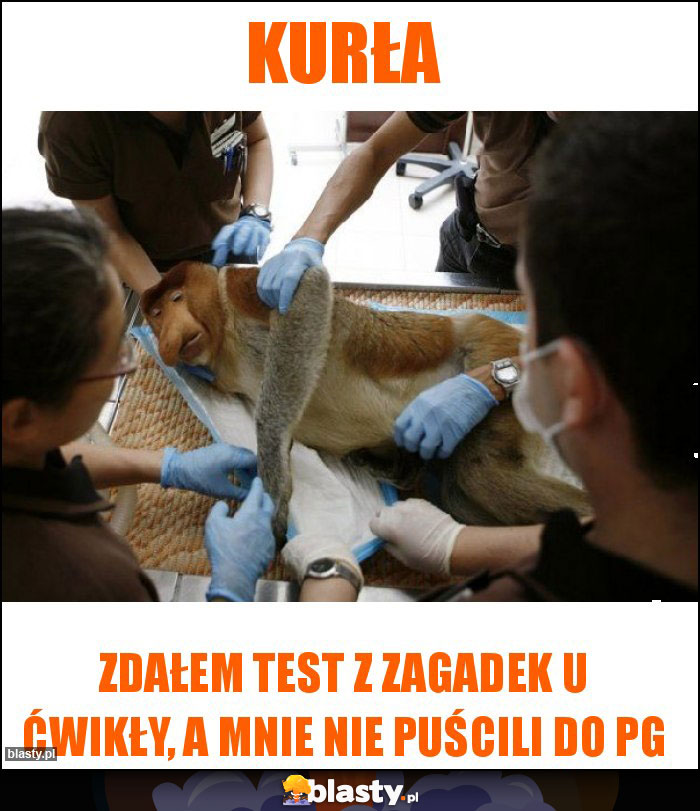 Kurła