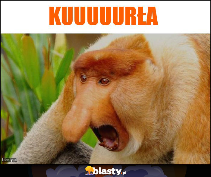 KUUUUURŁA