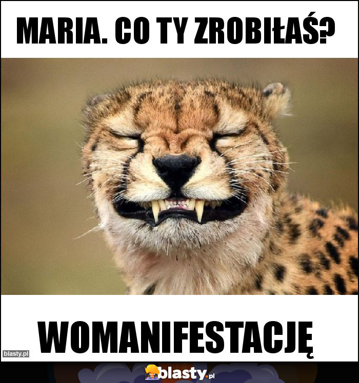 Maria. Co ty zrobiłaś?