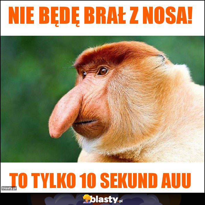 Nie będę brał z nosa!