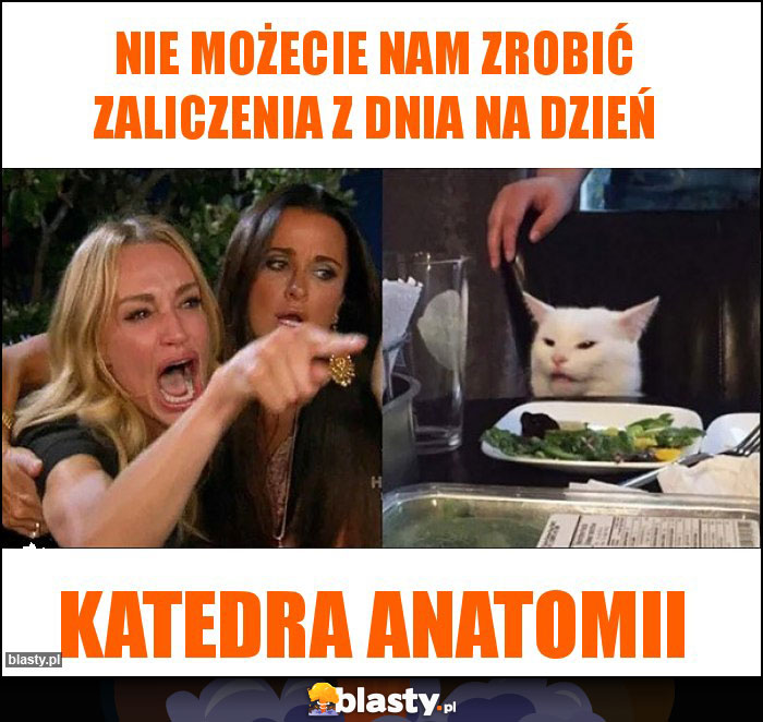 Nie możecie nam zrobić zaliczenia z dnia na dzień