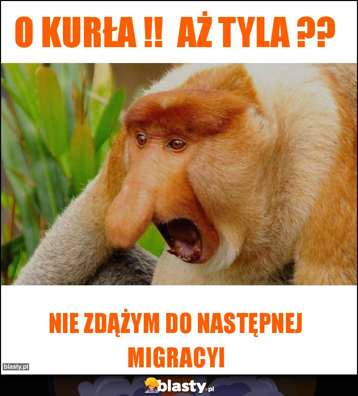 O KURŁA !!  Aż Tyla ??