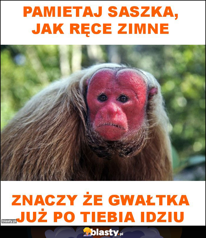 Pamietaj saszka, jak ręce zimne