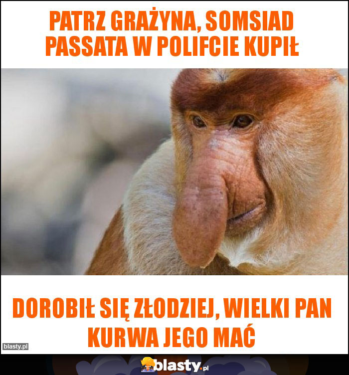 Patrz Grażyna, somsiad Passata w polifcie kupił