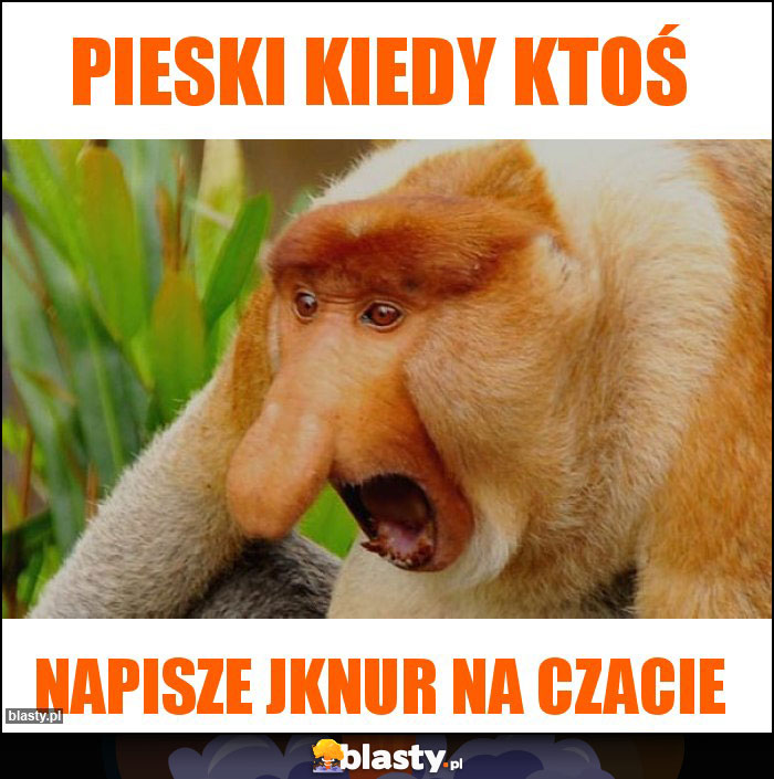 pieski kiedy ktoś