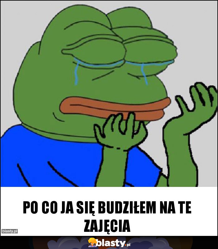 Po co ja się budziłem na te zajęcia