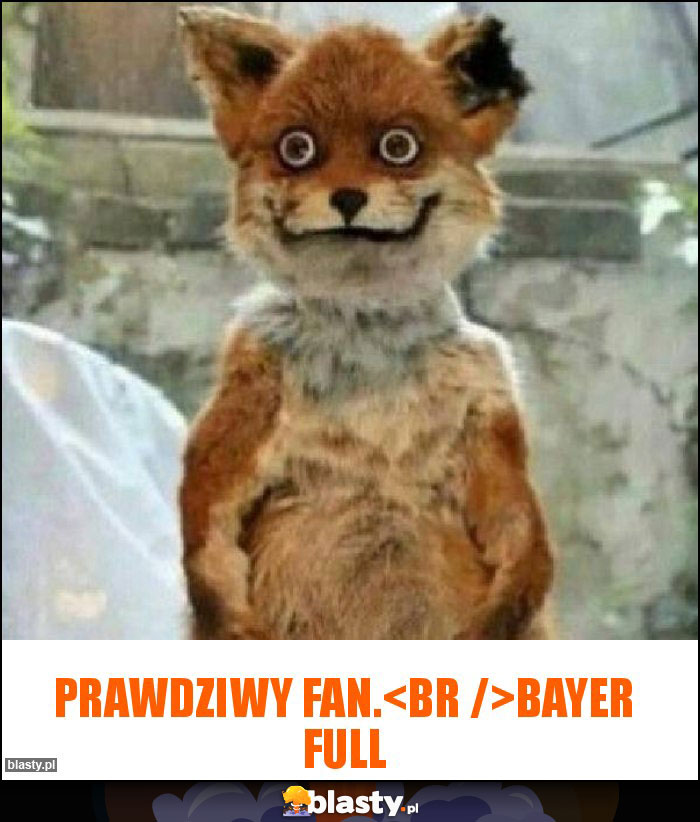 Prawdziwy fan.
Bayer full