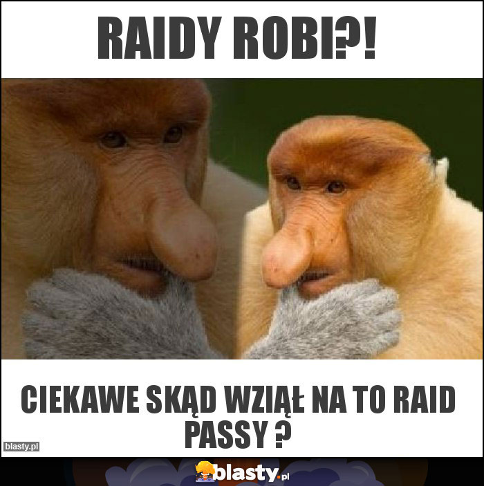 Raidy robi?!