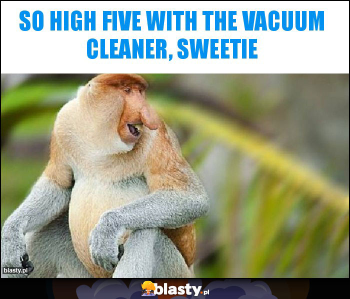 so high five with the vacuum cleaner, Sweetie