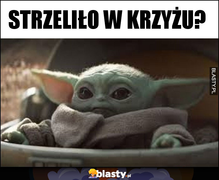 STRZELIŁO W KRZYŻU?