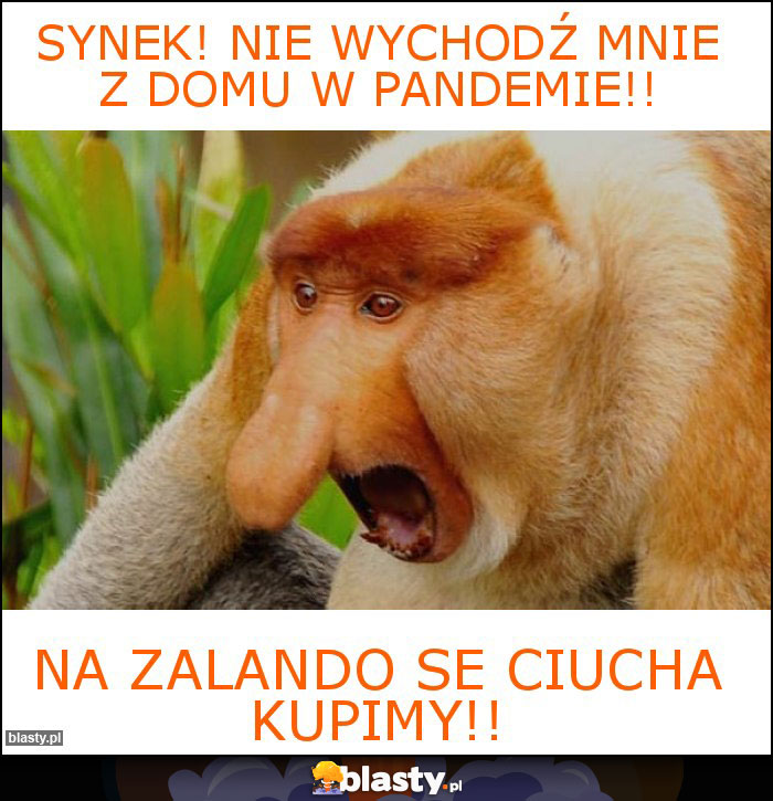 Synek! Nie wychodź mnie z domu w pandemie!!