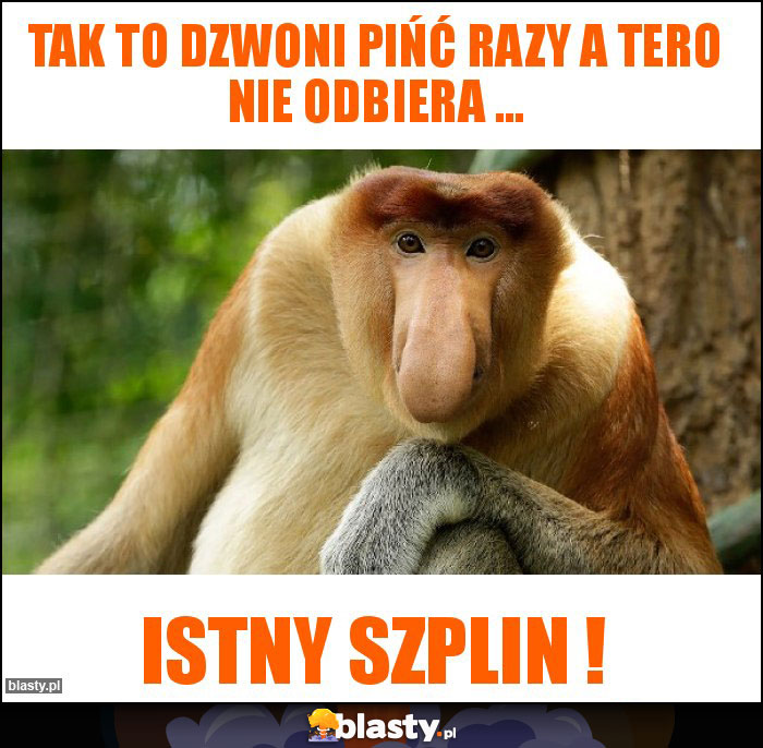 Tak to dzwoni pińć razy a tero nie odbiera ...