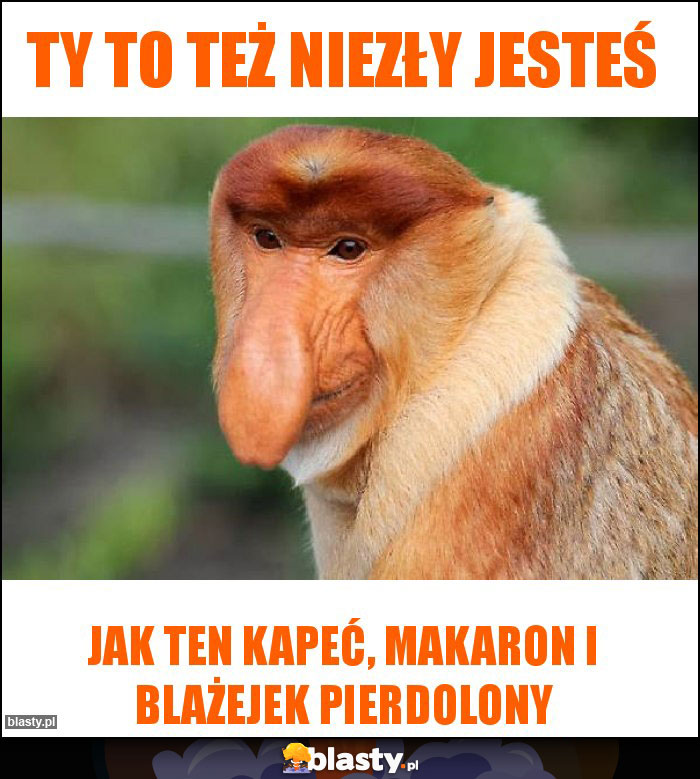 TY TO TEŻ NIEZŁY JESTEŚ