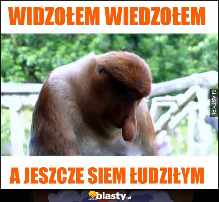 WIDZOŁEM WIEDZOŁEM