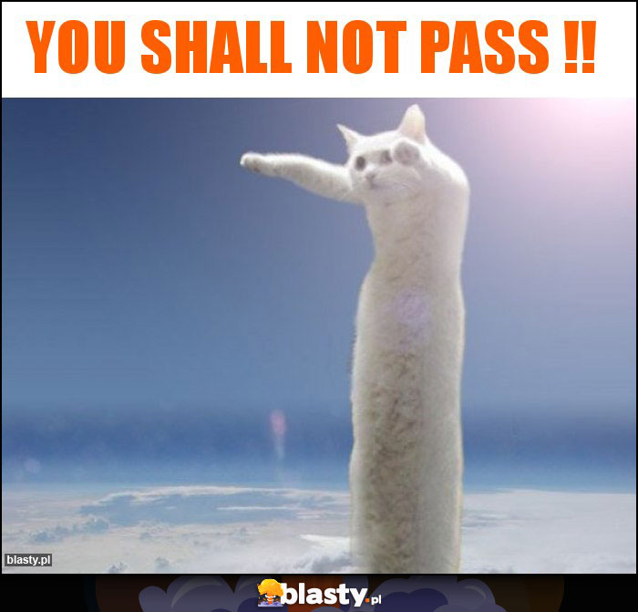 you shall not pass !!