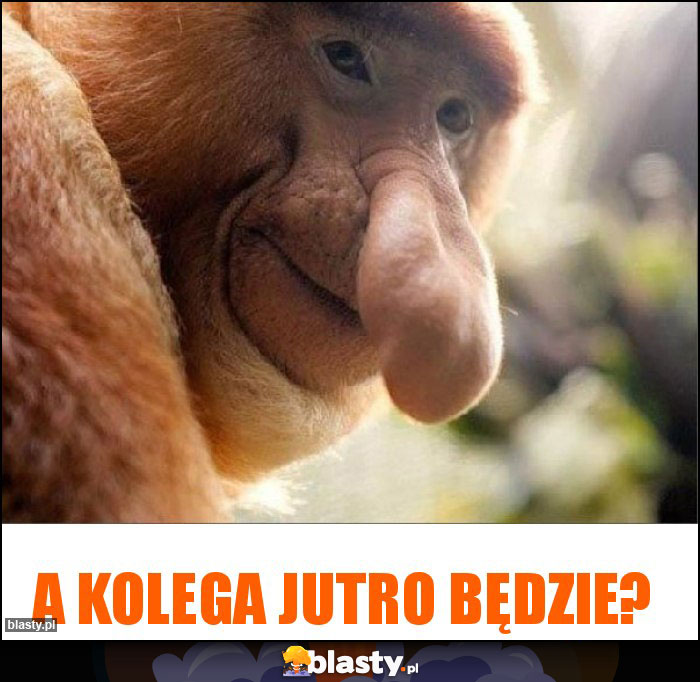 A kolega jutro będzie?